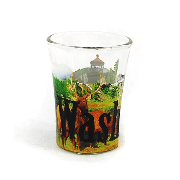 Americaware Washington Full Color Etched Shot Glass SGWSH01